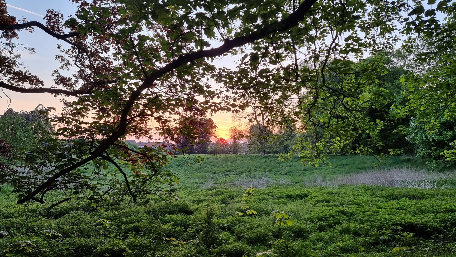 Sunrise in Sint-Agatha-Berchem