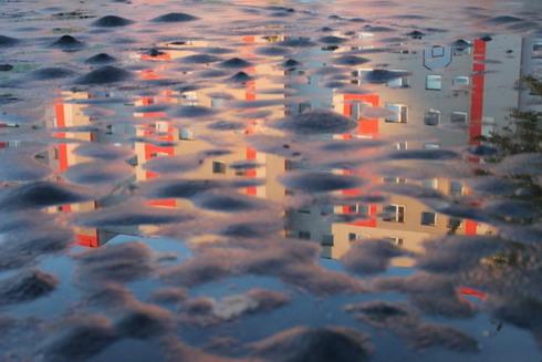 Asphalted playground