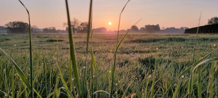 Sunrise in Relegem, Belgium