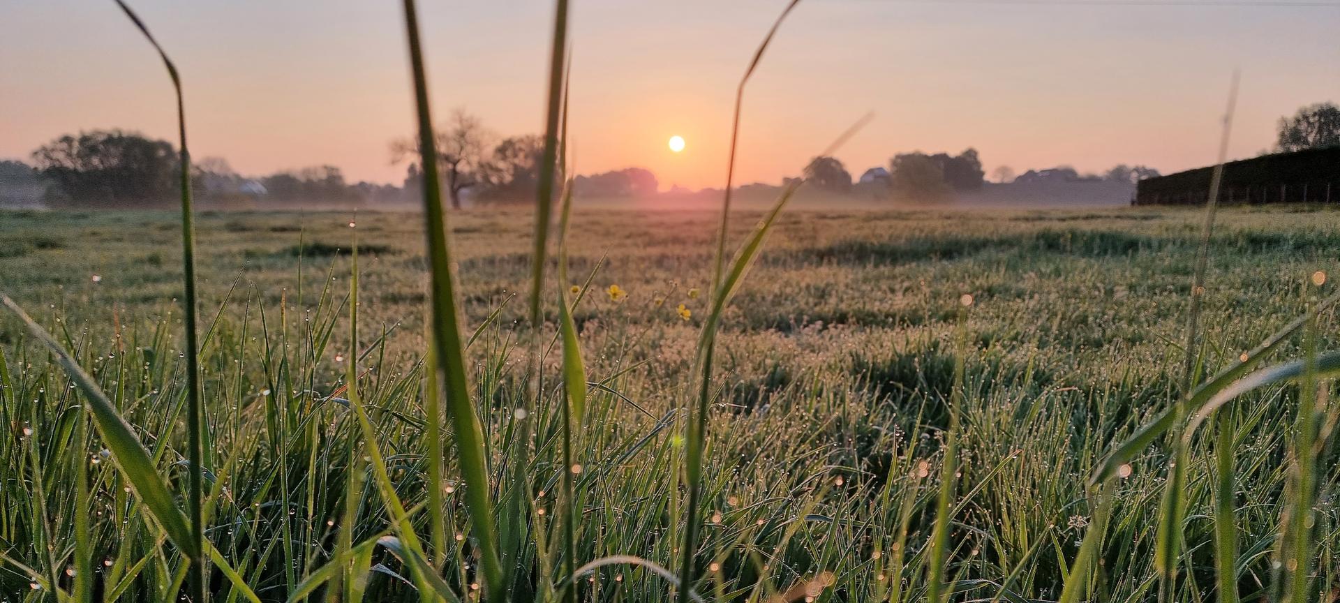 Sunrise in Relegem, Belgium
