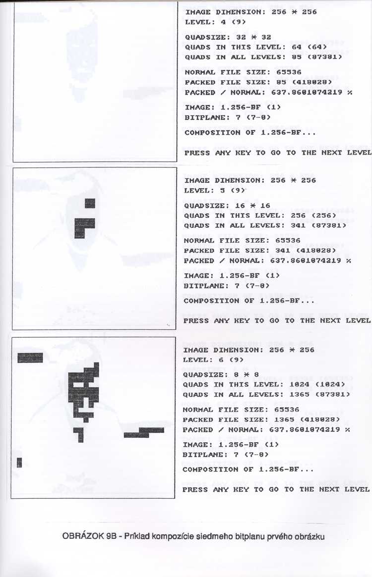 19950418 Diplomova praca - Digitalne spracovanie obrazovych sekvencii (set): 00010_IMG_0010 00010_IMG_0010_resized.d20201018-u194325.jpg