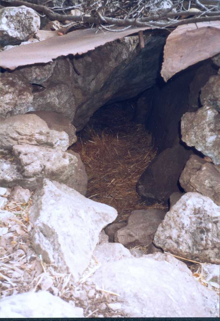 19981019-19981109 France, Corsica, Sardinia, Italy (set): 00068_0104 00068_0104_resized.d20201026-u205606.jpg