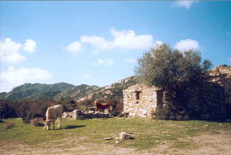 19981019-19981109 France, Corsica, Sardinia, Italy (set): 00021_0034 00021_0034_resized.d20201026-u205539.jpg