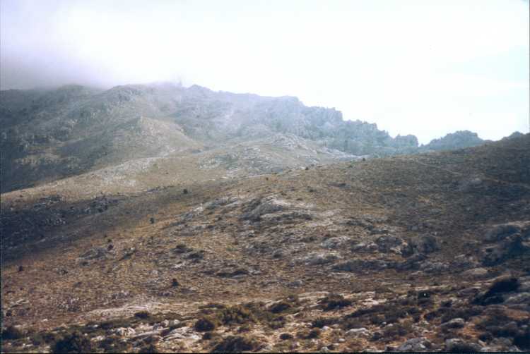 19981019-19981109 France, Corsica, Sardinia, Italy (set): 00065_0100 00065_0100_resized.d20201026-u205604.jpg