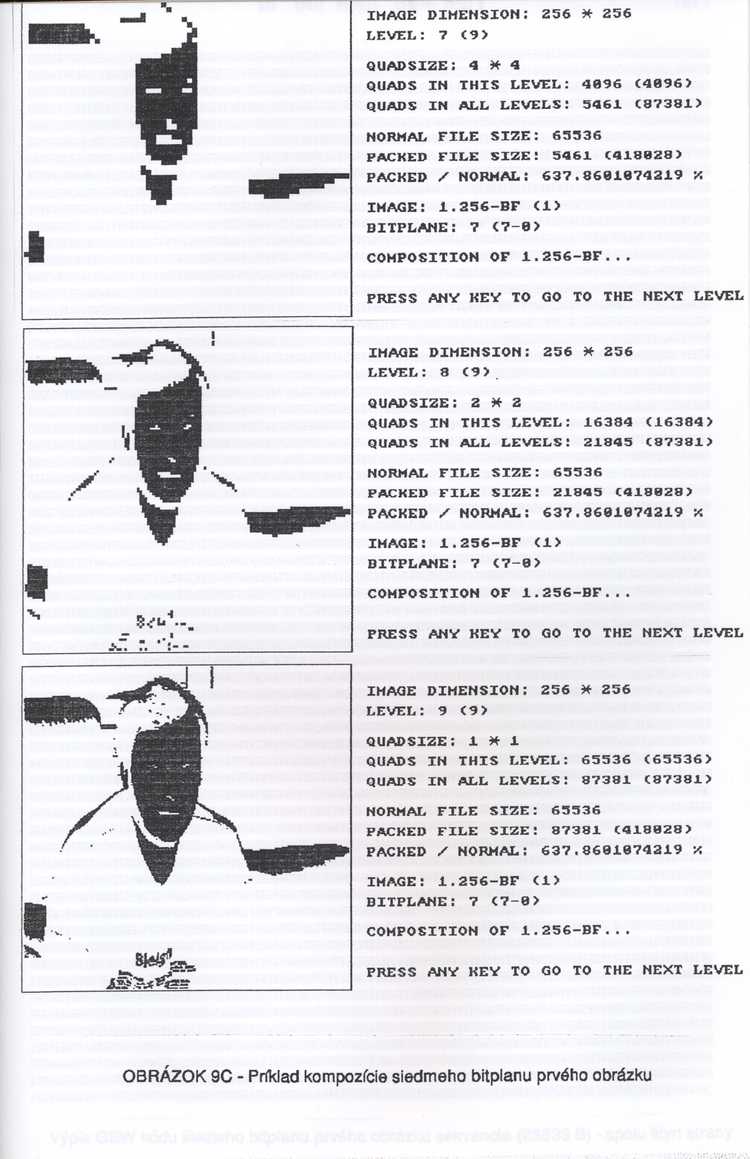 19950418 Diplomova praca - Digitalne spracovanie obrazovych sekvencii (set): 00011_IMG_0011 00011_IMG_0011_resized.d20201018-u194325.jpg