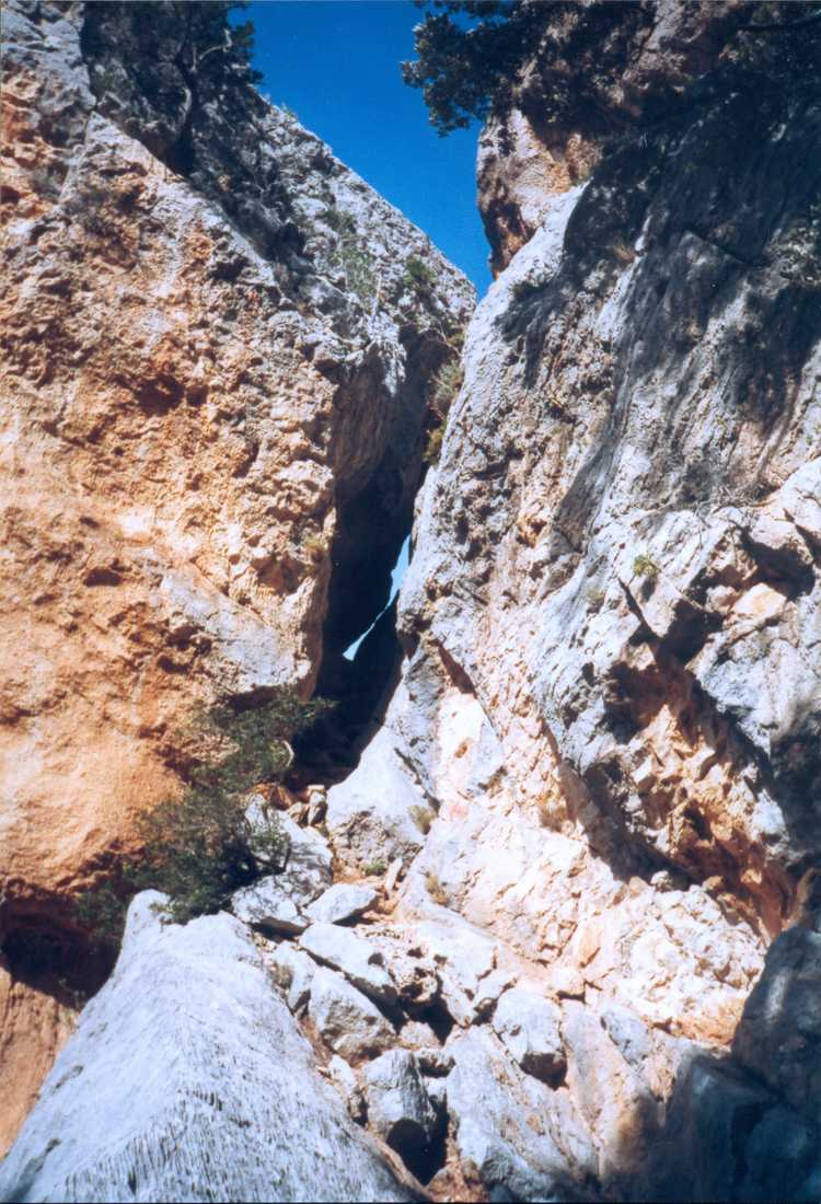 19981019-19981109 France, Corsica, Sardinia, Italy (set): 00059_0087 00059_0087_resized.d20201026-u205600.jpg