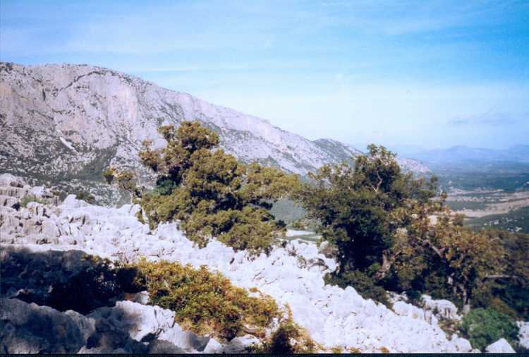 19981019-19981109 France, Corsica, Sardinia, Italy (set): 00055_0082 00055_0082_resized.d20201026-u205559.jpg